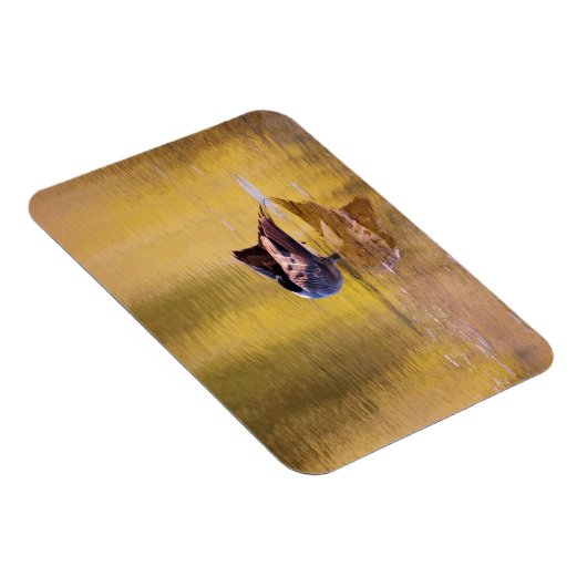 Golden Goose Magnet (Rechte Seite)