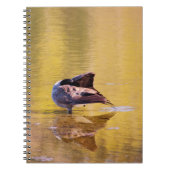 Golden Goose Notizblock (Vorderseite)