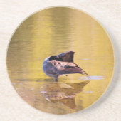 Golden Goose Sandstein Untersetzer (Vorne)