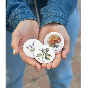 Golden Harvest Chrysanthemum, Brauch Button