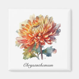 Golden Harvest Chrysanthemum, Brauch Magnet