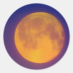 Golden Harvest Moon Round Stickers