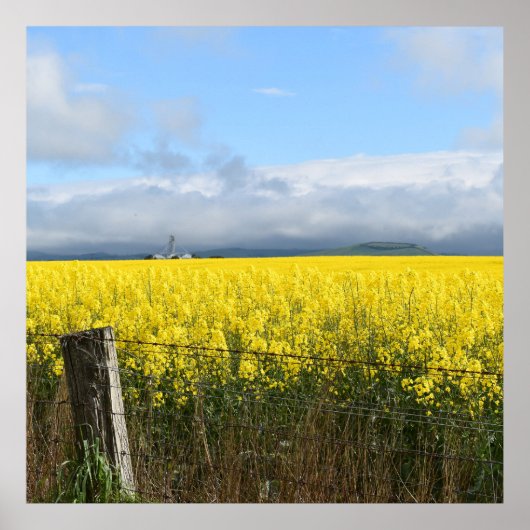 Golden Harvest Poster (Vorne)