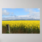 Golden Harvest Poster (Vorne)