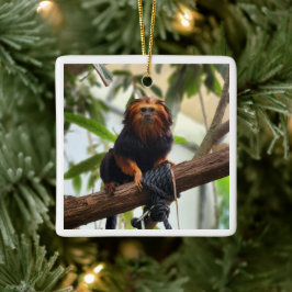 Golden Headed Lion Tamarin III Keramikornament