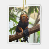 Golden Headed Lion Tamarin III Keramikornament (Links)
