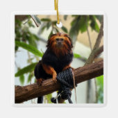 Golden Headed Lion Tamarin III Keramikornament (Vorderseite)
