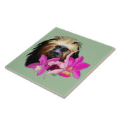 Golden-Headed Löwe Tamarin Monkey Fliese (Seite)