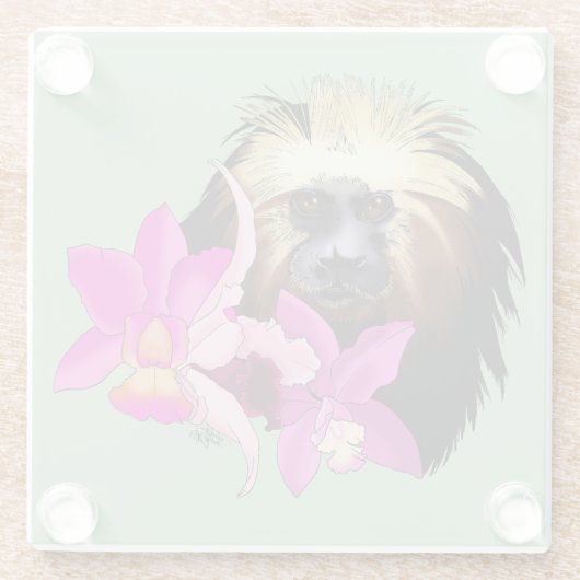 Golden-Headed Löwe Tamarin Monkey Glasuntersetzer (Rückseite)