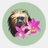 Golden-Headed Löwe Tamarin Monkey Runder Aufkleber (Vorderseite)