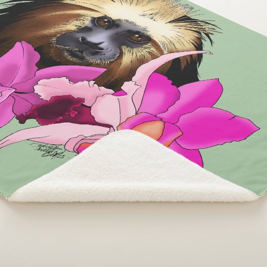 Golden-Headed Löwe Tamarin Monkey Sherpadecke (3/4)