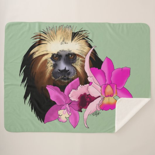 Golden-Headed Löwe Tamarin Monkey Sherpadecke (Vorderseite (Horizontal))
