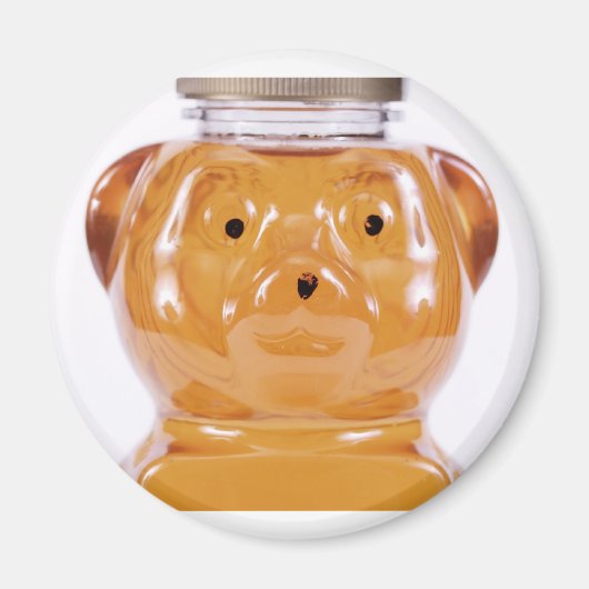 Golden Honey Bear View Magnet (Vorne)