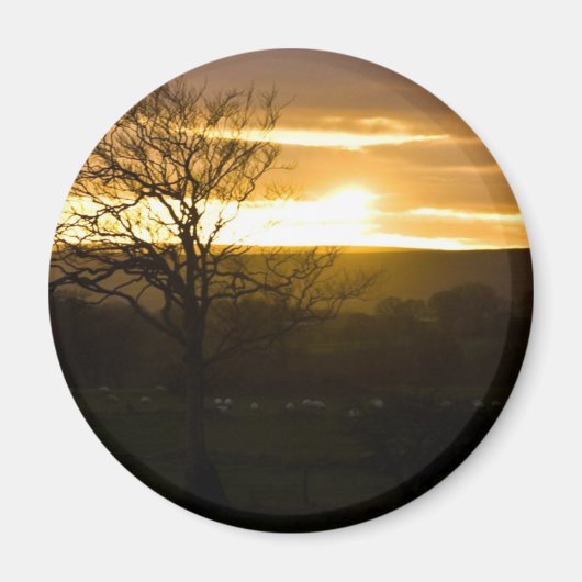 Golden Horizon Magnet (Vorne)