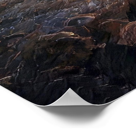 Golden Horizon Poster (Ecke)