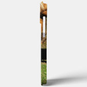Golden Horse Closeup iPhone 13 Pro Max Fall Case-Mate iPhone Hülle (Rückseite / Links)