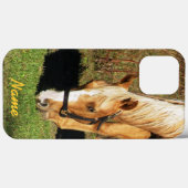 Golden Horse Closeup iPhone 13 Pro Max Fall Case-Mate iPhone Hülle (Rückseite (Horizontal))