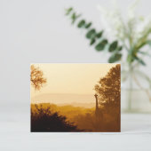 Golden Hour Giraffe Postkarte (Stehend Vorderseite)