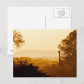 Golden Hour Giraffe Postkarte (Vorne/Hinten)