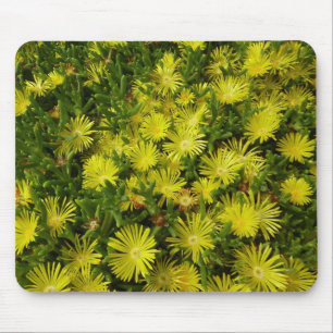 Golden Ice Pflanze Gelbe Blumen Mousepad