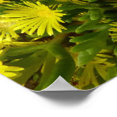Golden Ice Pflanze Gelbe Blumen Poster (Ecke)