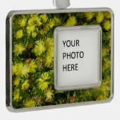 Golden Ice Pflanze Gelbe Blumen Rahmen-Ornament Silber (Rechts)