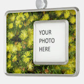 Golden Ice Pflanze Gelbe Blumen Rahmen-Ornament Silber (Links)