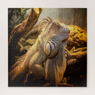 Golden Iguana Puzzle