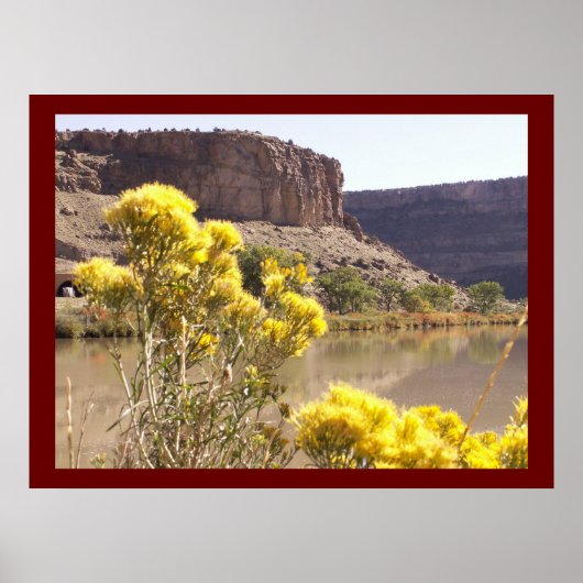 Golden in der Sonne Poster (Vorne)