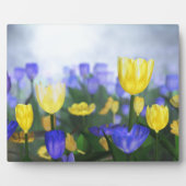 Golden Jubilee Plaque Fotoplatte (Vorderseite)