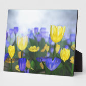 Golden Jubilee Plaque Fotoplatte (Seite)