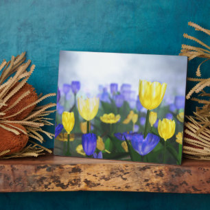 Golden Jubilee Plaque Fotoplatte