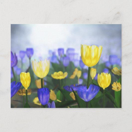 Golden Jubilee Postkarte (Vorderseite)