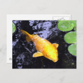 Golden Koi Fish Foto Postkarte (Vorne/Hinten)