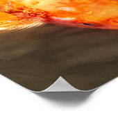 Golden Koi Foto Poster (Ecke)