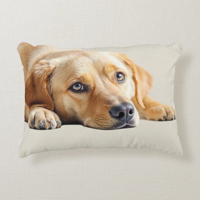 Golden Lab Kissen  (Vorderseite)