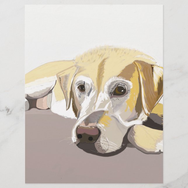 Golden Labrador (Vorderseite)