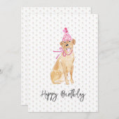 Golden Labrador Birthday Hat Balloons Dog Pet Fun (Vorne/Hinten)