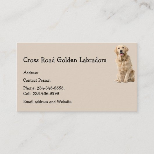 Golden Labrador Dog Pet Animal Business Card Magn Visitenkarte (Vorderseite)