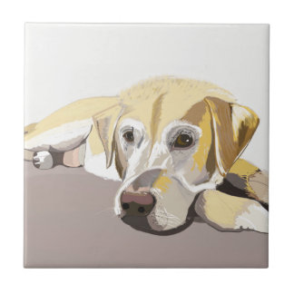 Golden Labrador Fliese
