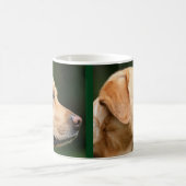 Golden Labrador Hund Welpe Tasse Kaffee Tasse Cup (Mittel)
