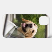 Golden Labrador im Rückspiegel Case-Mate iPhone Hülle (Rückseite (Horizontal))