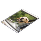Golden Labrador im Rückspiegel Notizblock (Linke Seite)