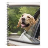 Golden Labrador im Rückspiegel Notizblock (Vorderseite)