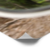 Golden Labrador im Rückspiegel Poster (Ecke)