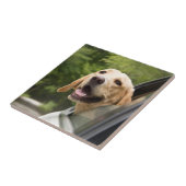 Golden Labrador in Rearview Mirror Fliese (Seite)