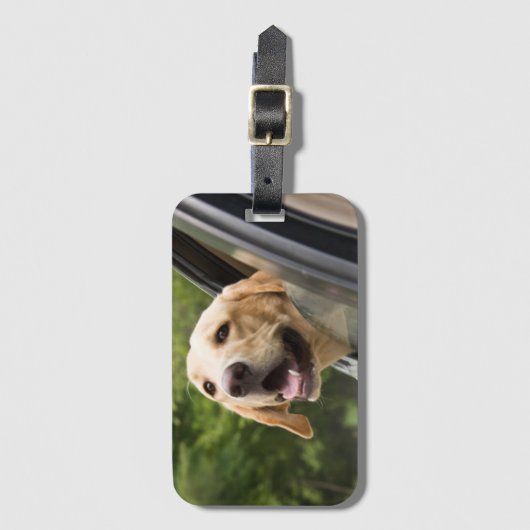 Golden Labrador in Rearview Mirror Gepäckanhänger (Vorderseite Vertikal)
