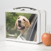 Golden Labrador in Rearview Mirror Metall Brotdose (Beispiel)