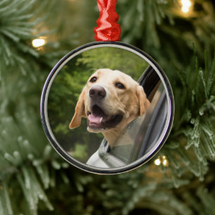 Golden Labrador in Rearview Mirror Ornament Aus Metall