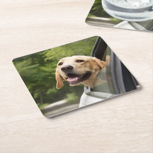 Golden Labrador in Rearview Mirror Rechteckiger Pappuntersetzer (angewinkelt)